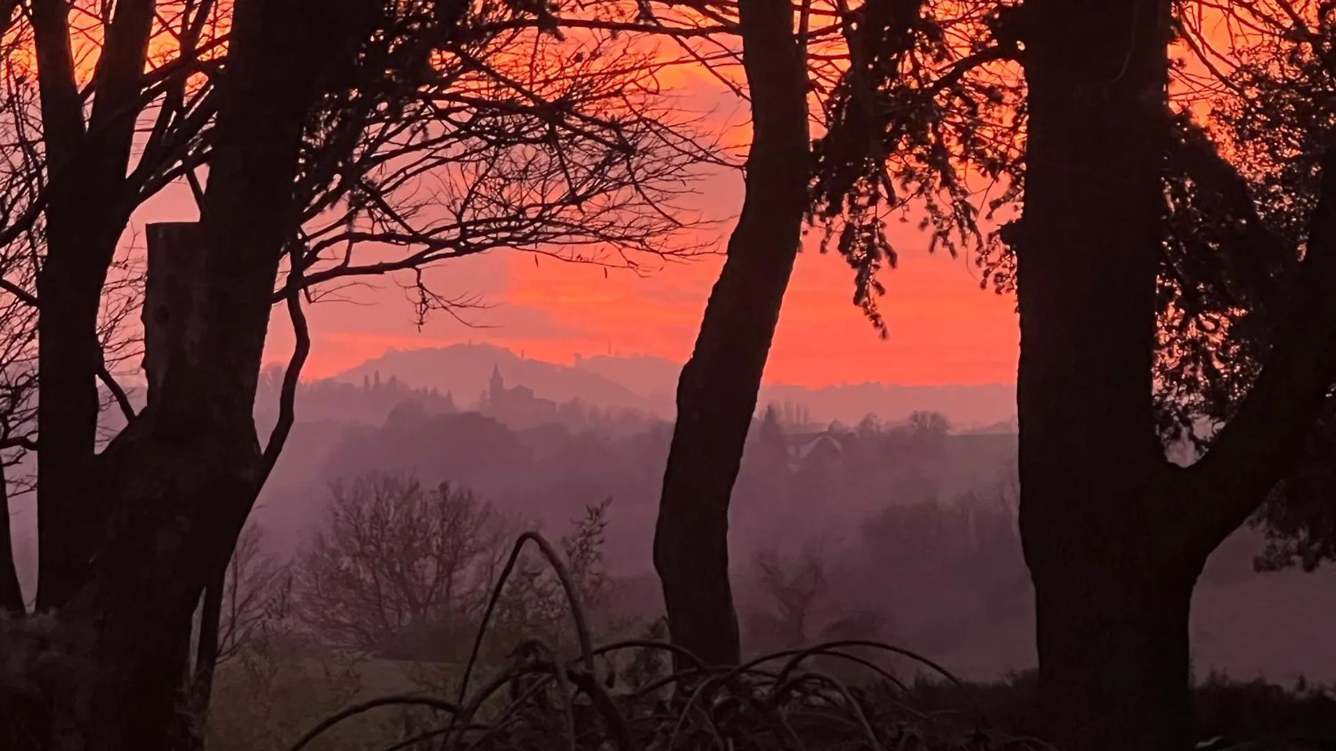 Villa Degli Olmi Castel San Pietro Terme Guest house