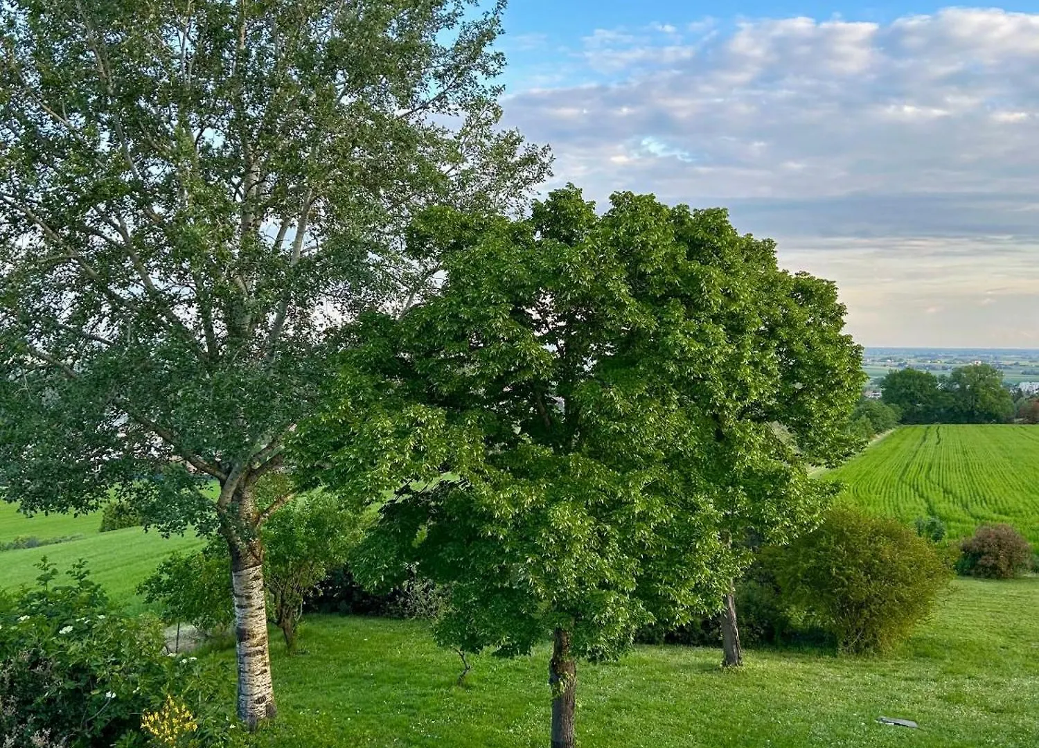 Villa Degli Olmi Castel San Pietro Terme Guest house